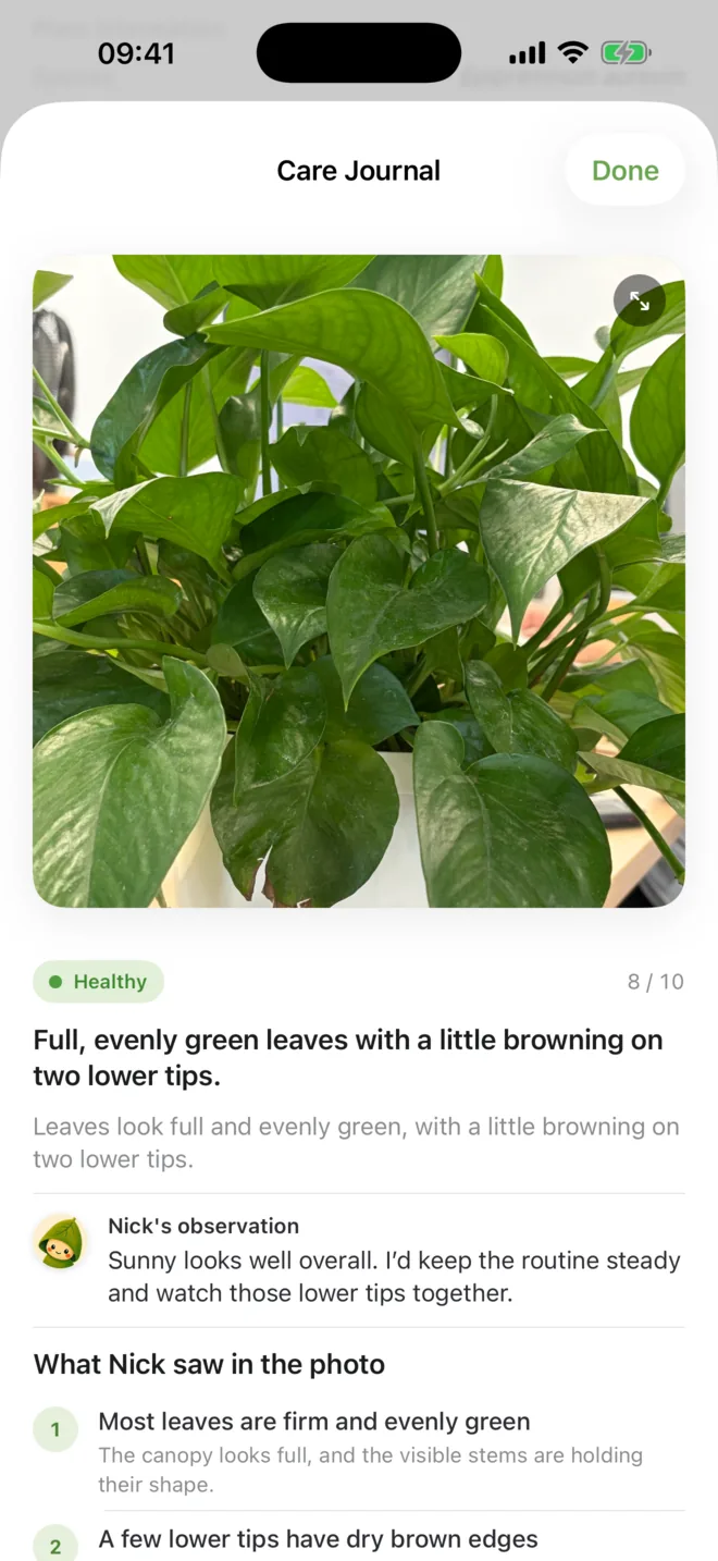 Plant health report showing a photo, health score, Nick observation, visible clues, and comparison