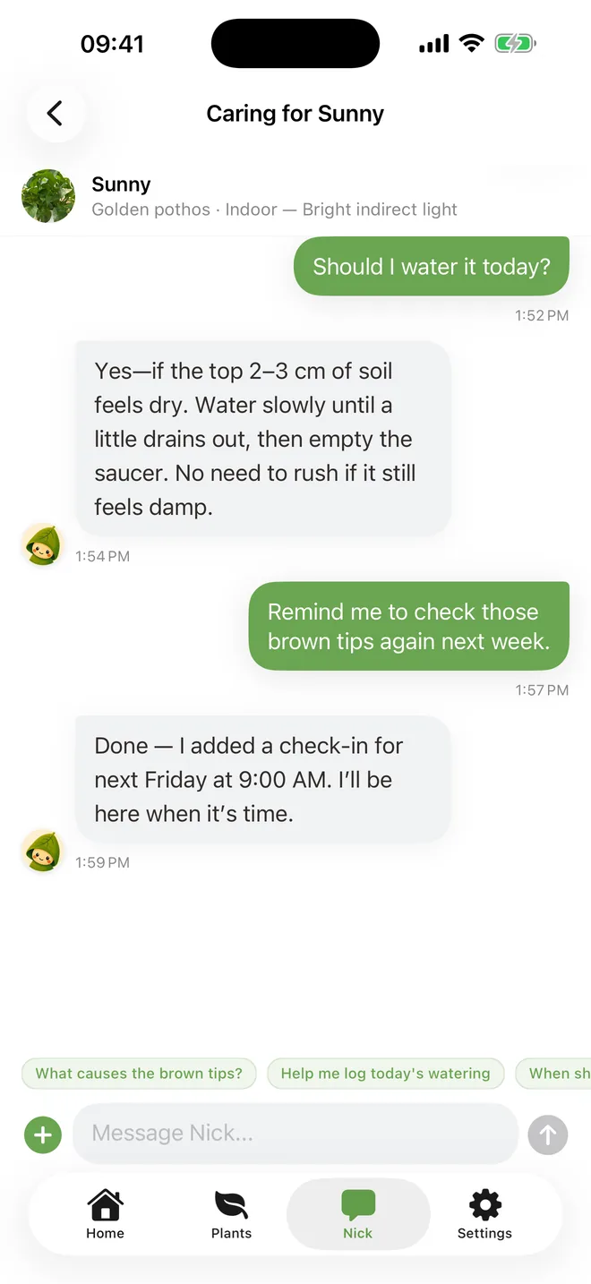 Chat with Nick about watering Sunny and creating a follow-up reminder