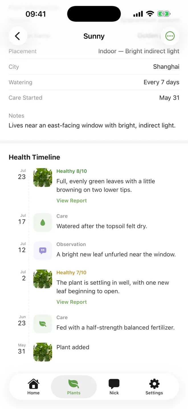 Sunny plant timeline with health checks, watering, a new leaf milestone, feeding, and the first photo