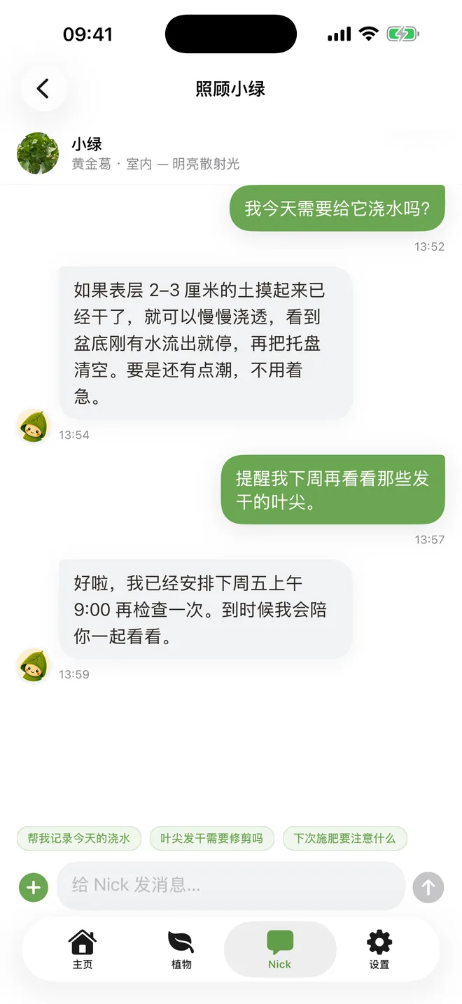 与 Nick 讨论是否给小绿浇水，并创建后续检查提醒