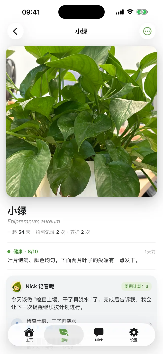 小绿的植物详情页，显示照片、健康分数、Nick 养护简报和时间线