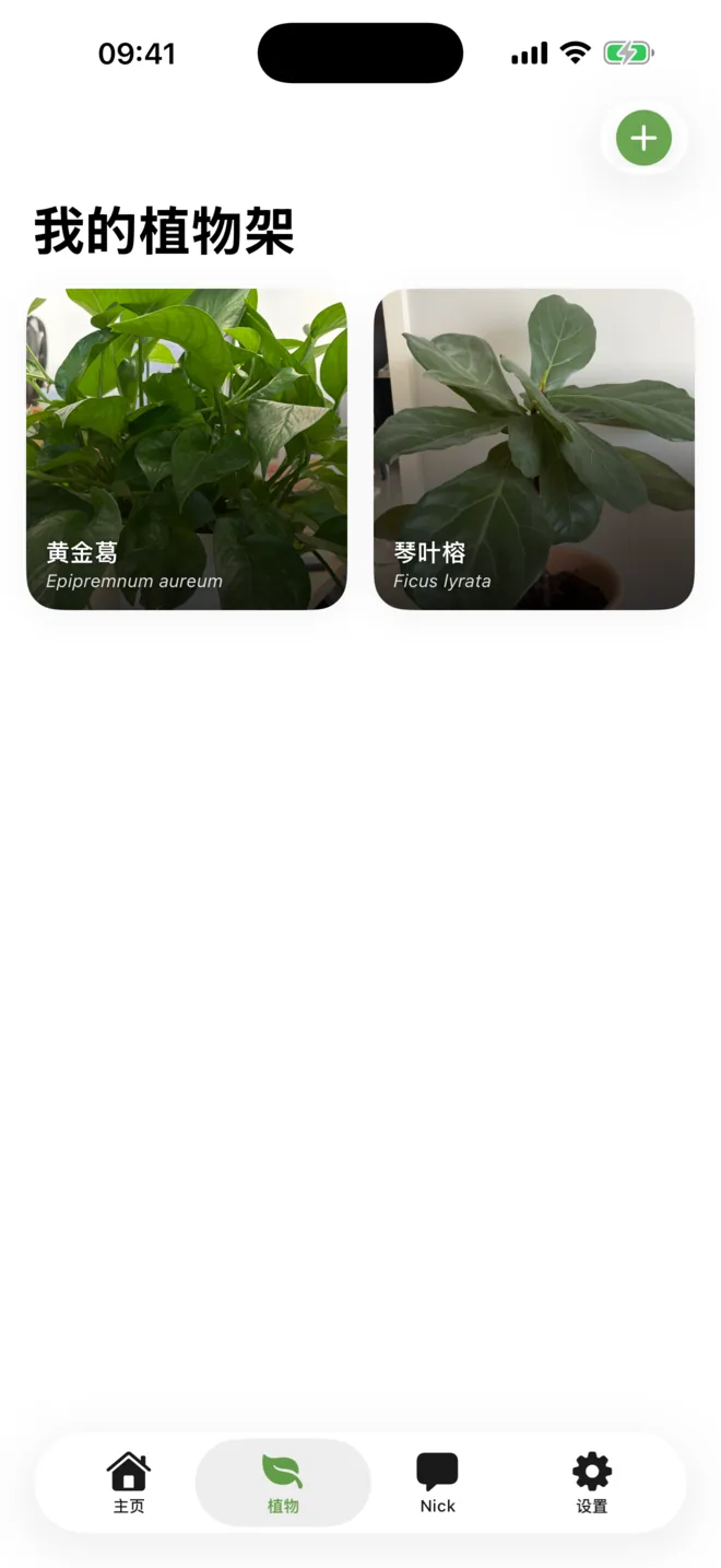 我的植物架，显示黄金葛和琴叶榕两株植物