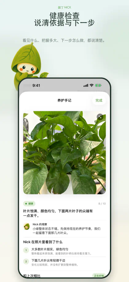 植物健康检查养护手记，包括照片发现、Nick 的观察和下一步建议